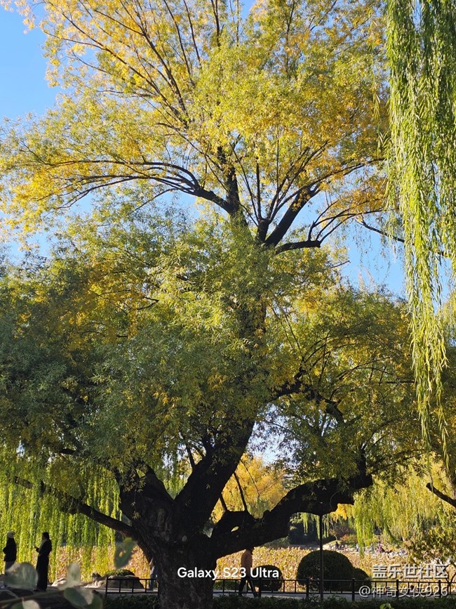 【葉落成詩】深秋的風(fēng)景