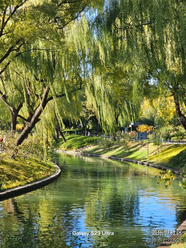 【葉落成詩】深秋的風(fēng)景