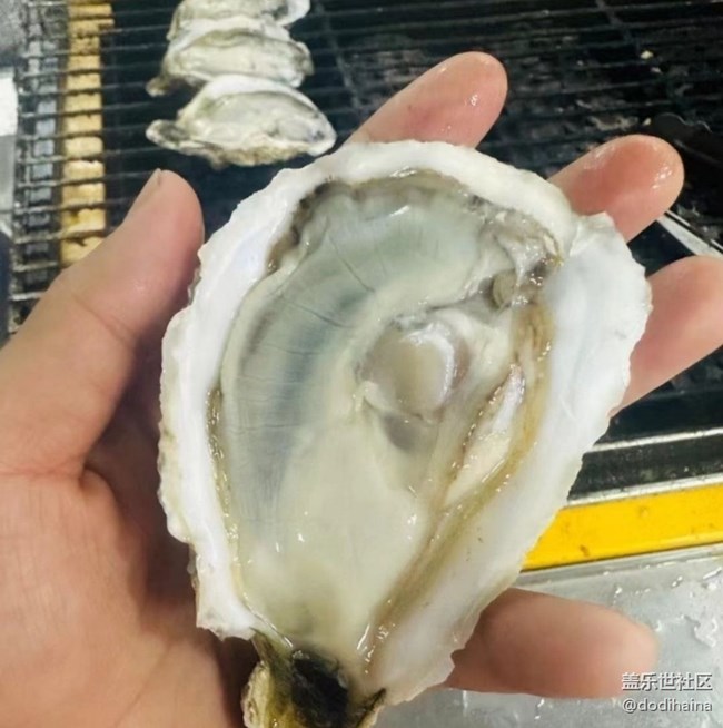 【暖鍋之約】烤生蠔