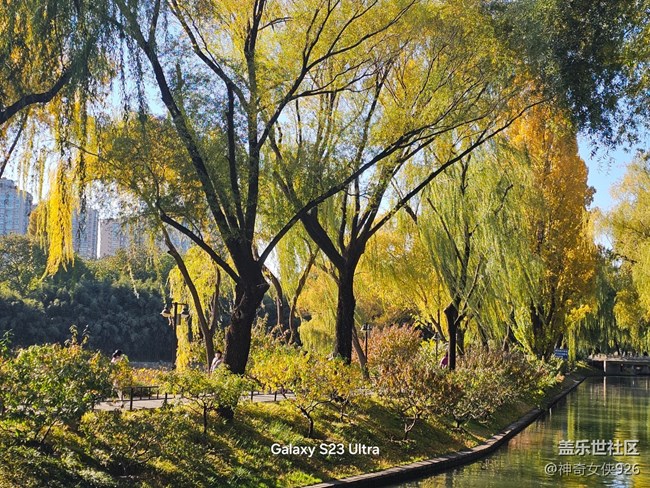 【葉落成詩】深秋的風(fēng)景