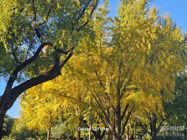 【葉落成詩】深秋的風(fēng)景