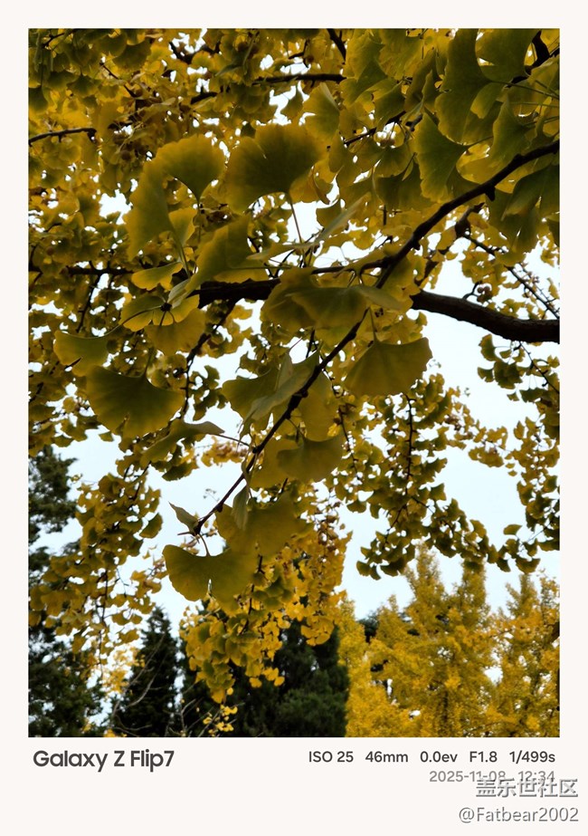 青島星部落11月折疊系列品鑒會回顧