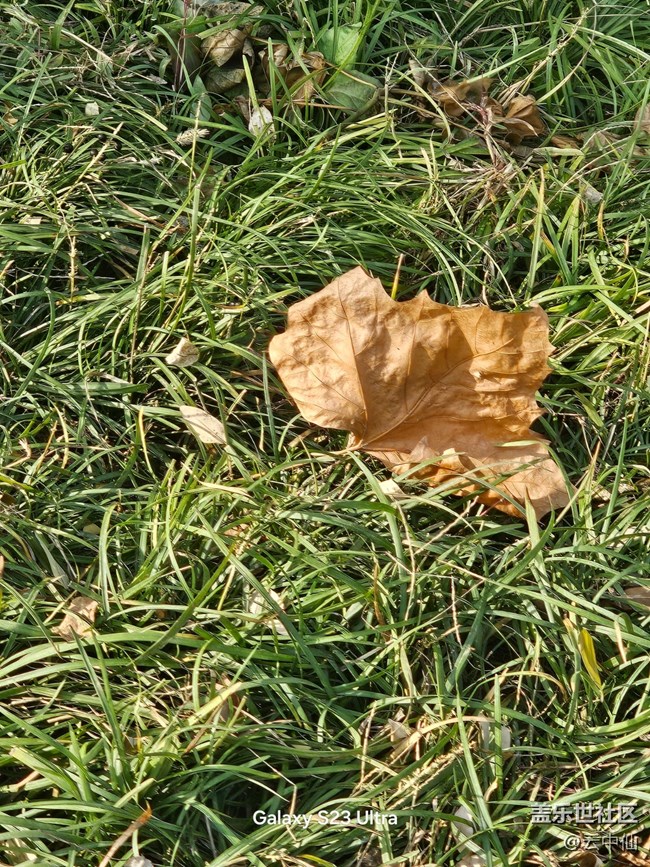 【葉落成詩(shī)】流逝