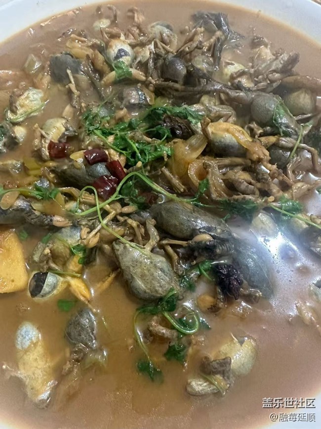 【暖鍋之約】東北林蛙