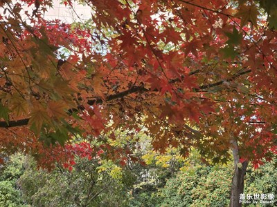 【城市生命力】+住在西安