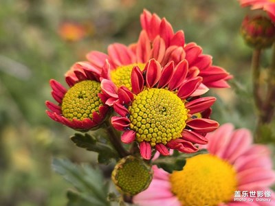 生日這天發(fā)點(diǎn)照片吧