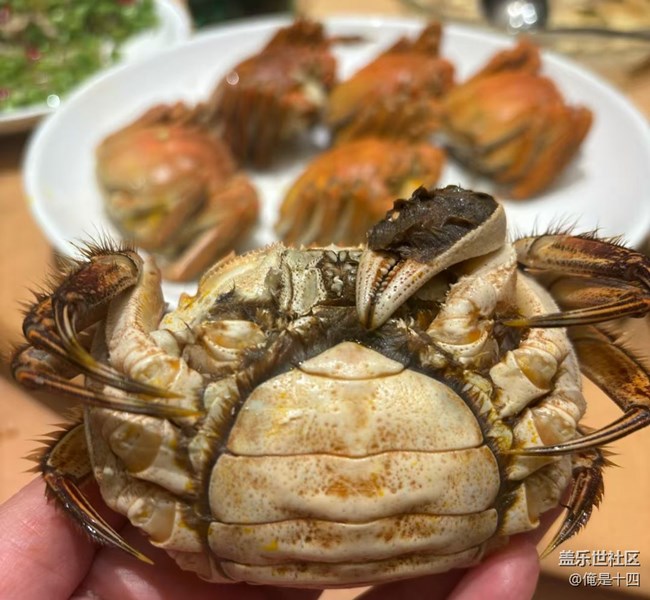 【暖鍋之約】大閘蟹