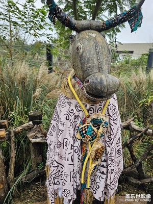 【城市生命力】動(dòng)物園