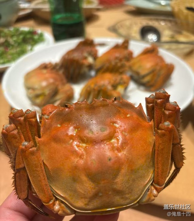 【暖鍋之約】大閘蟹