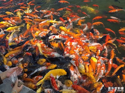 【城市生命力】北京