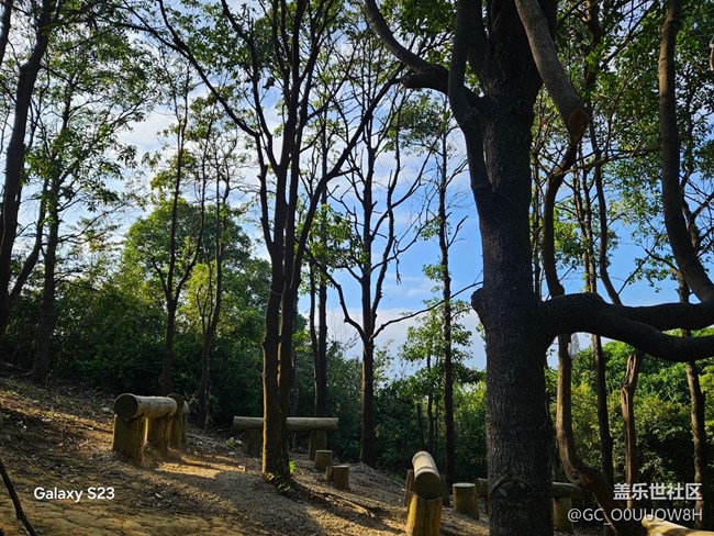 【活動回顧】在徒步，在途中