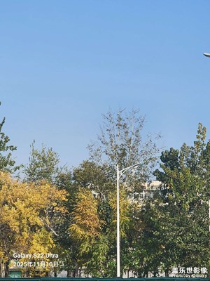 城市生命力 初冬的城市