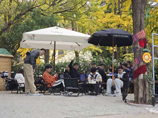 青島星部落折疊系列品鑒會回顧