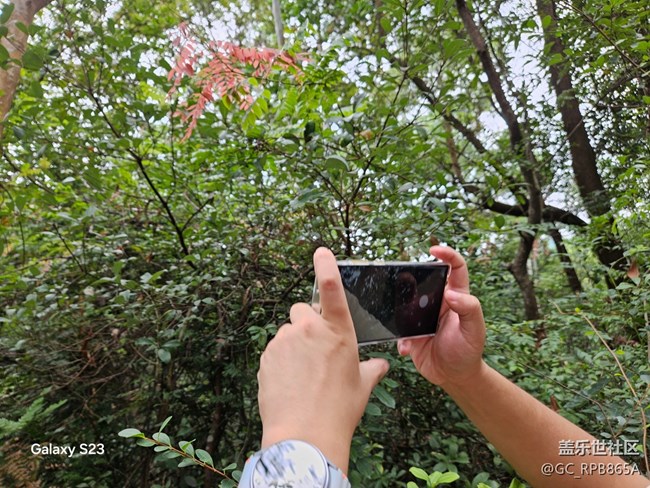 【活動回顧】人生是曠野