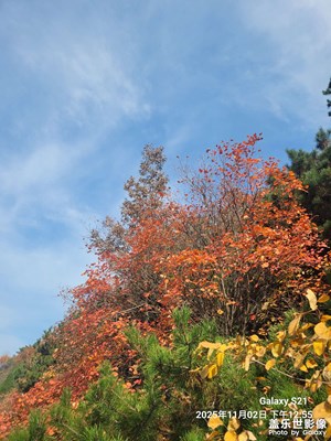 【城市生命力】+西安特色