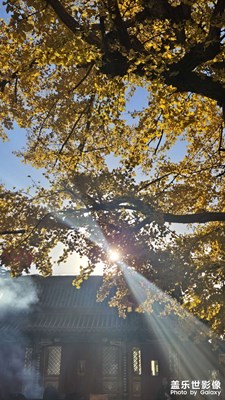 北京的秋