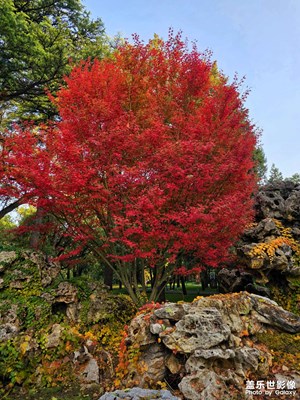 【城市生命力】秋日私語