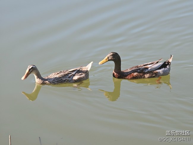 【全鏡影像】戶外風(fēng)光