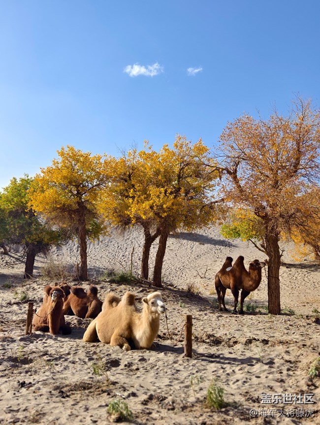 【國(guó)慶旅途】旅途記憶，在多元風(fēng)景里鐫刻