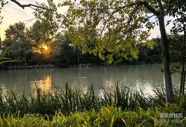 【世間的美好】世間美好，在湖畔黃昏處盛放