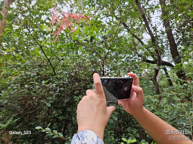 【活動回顧】徒步兩萬八千步