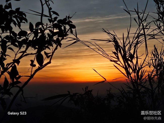 【活動回顧】徒步兩萬八千步