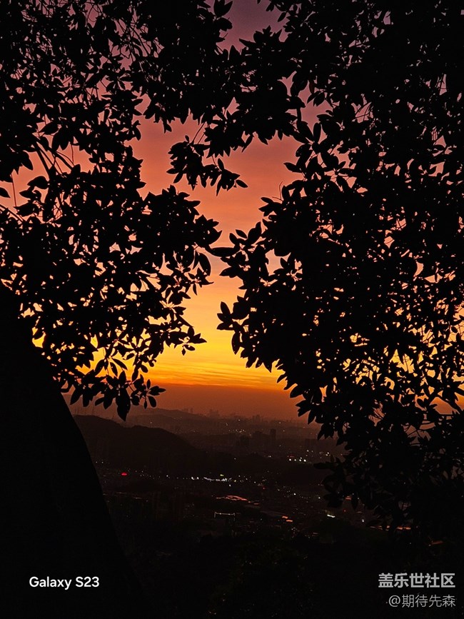 【活動回顧】徒步兩萬八千步