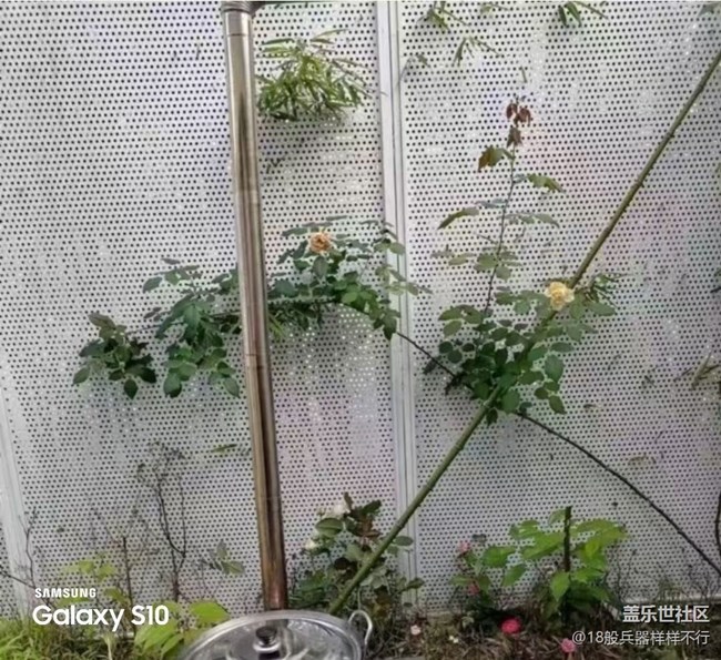 【鵬城尋冬記】好心情