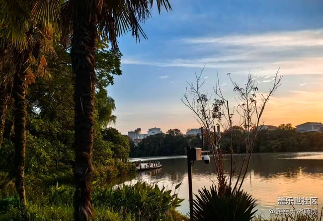 【世間的美好】世間美好，在湖畔黃昏處盛放