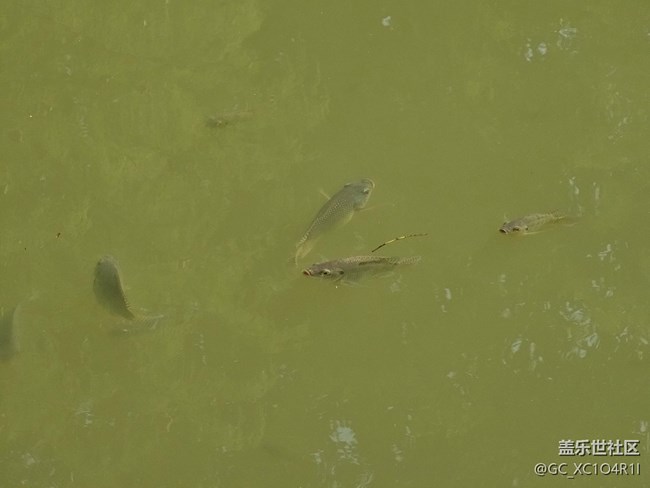 【全鏡影像】戶外風(fēng)光