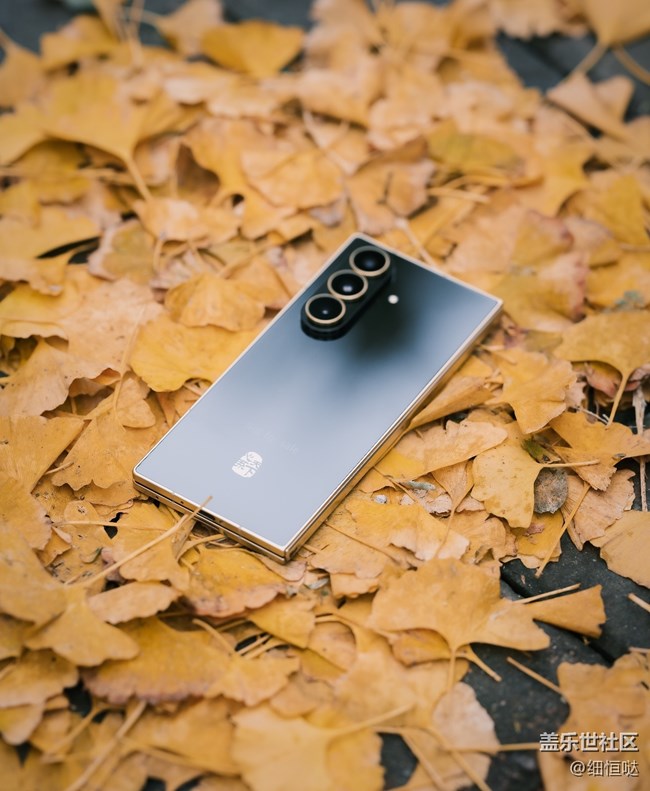 【折疊未來(lái)】青島星部落11月折疊屏品鑒活動(dòng)回顧 【折疊未來(lái)】青島星部落11月折疊屏品鑒活動(dòng)回顧