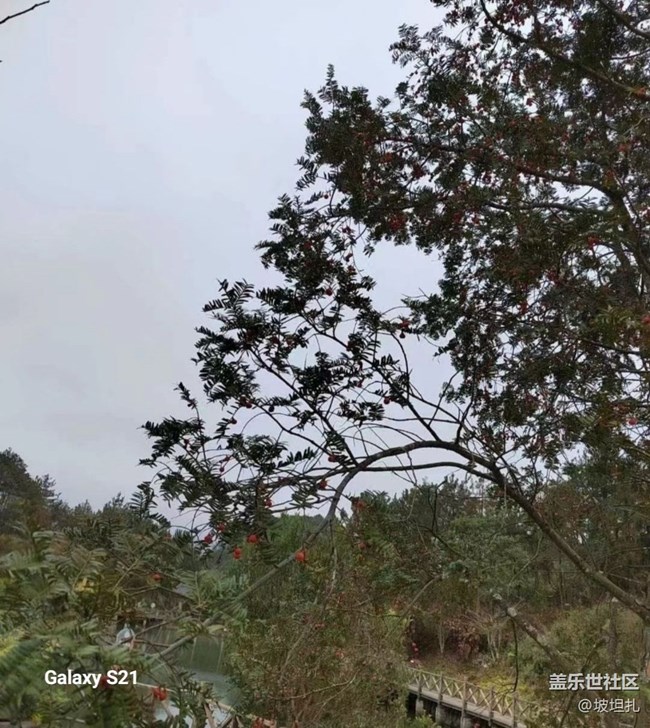 【鵬城尋冬記】難得晴天