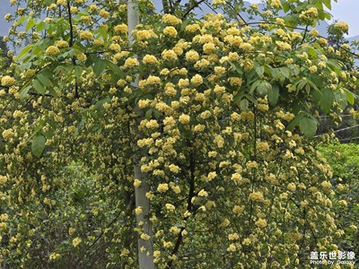 【城市生命力】發(fā)現(xiàn)美