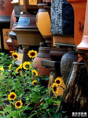 【城市生命力】斑瀾萬象繪生活