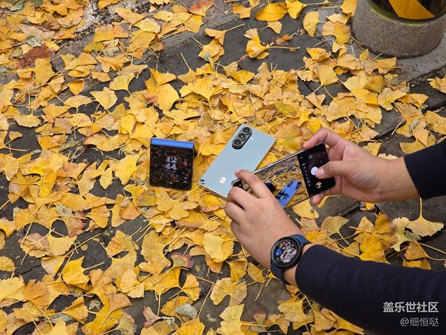 【折疊未來(lái)】青島星部落11月折疊屏品鑒活動(dòng)回顧 【折疊未來(lái)】青島星部落11月折疊屏品鑒活動(dòng)回顧