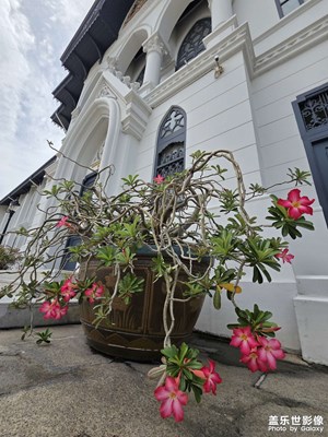 【城市生命力】曼谷巷間