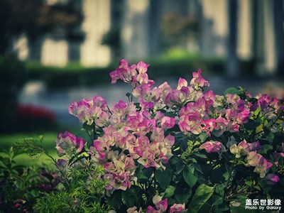 【城市生命力】+西郊的初冬