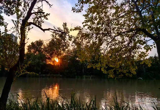 【世間的美好】世間美好，在湖畔黃昏處盛放