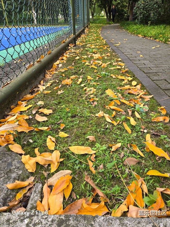 【葉落成詩(shī)】秋葉絮語(yǔ)