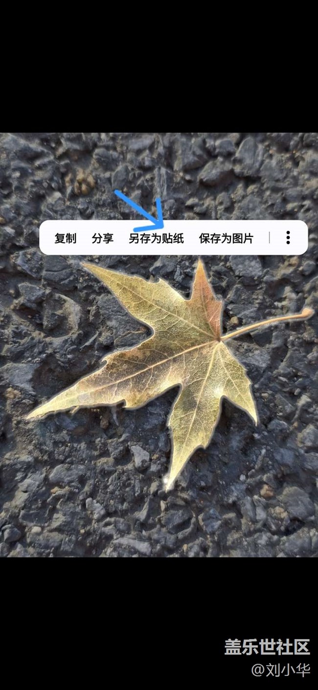 【Home Up】隨心定制主屏幕