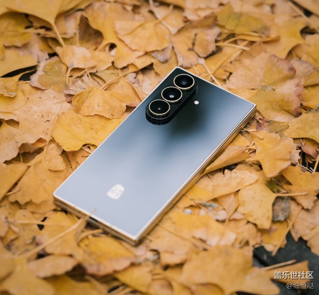 【折疊未來(lái)】青島星部落11月折疊屏品鑒活動(dòng)回顧 【折疊未來(lái)】青島星部落11月折疊屏品鑒活動(dòng)回顧