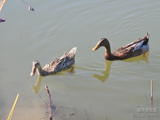 【全鏡影像】戶外風(fēng)光