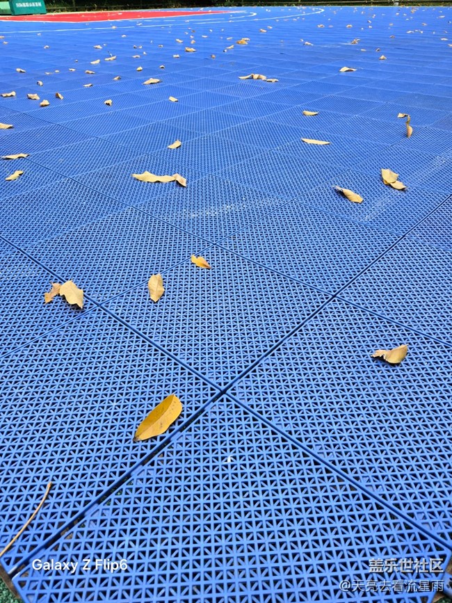 【葉落成詩(shī)】秋葉絮語(yǔ)