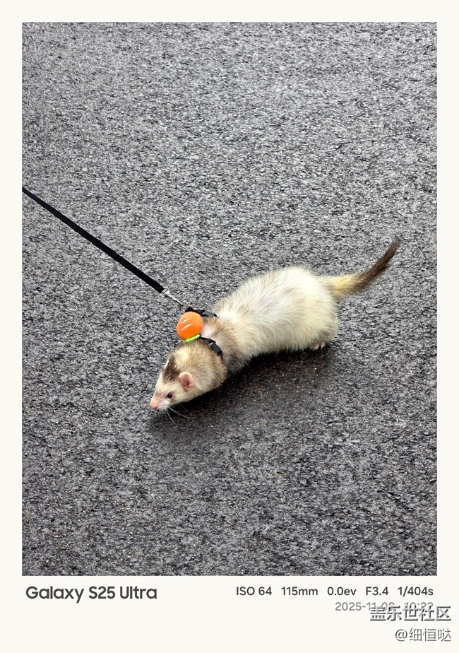 【折疊未來(lái)】青島星部落11月折疊屏品鑒活動(dòng)回顧 【折疊未來(lái)】青島星部落11月折疊屏品鑒活動(dòng)回顧