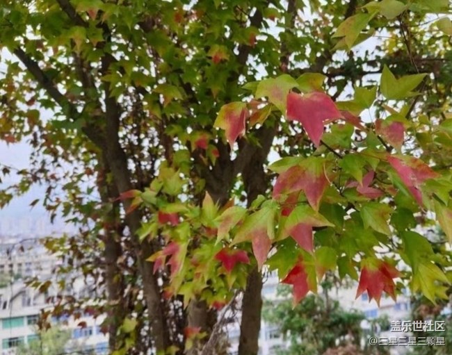 【全鏡影像】處處是風(fēng)景