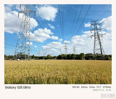 Galaxy S25 Ultra鏡頭下的秋日稻田