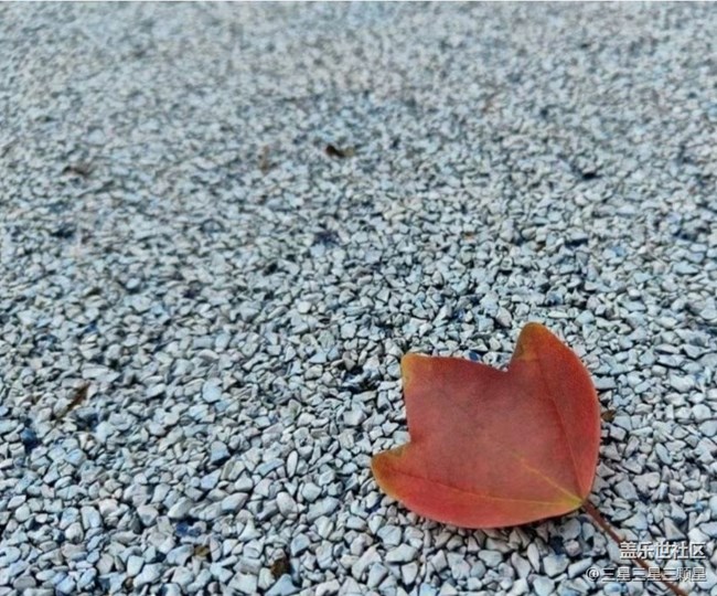 【全鏡影像】處處是風(fēng)景