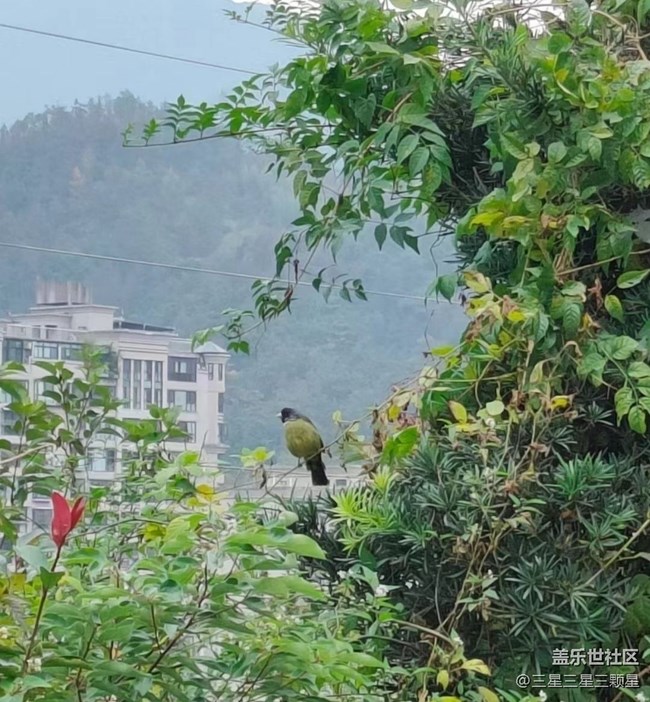 【全鏡影像】處處是風(fēng)景