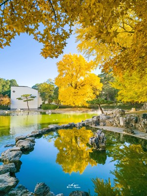 Galaxy S23 Ultra   走進(jìn)秋天（一）