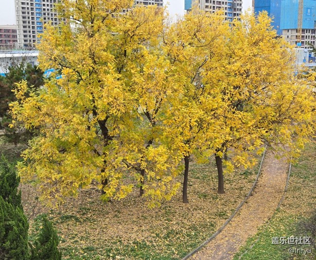 【全鏡影像】望深秋